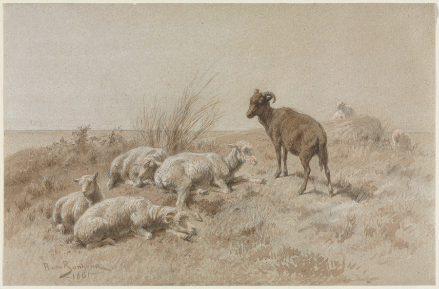 Sheep by Rosa Bonheur (French, 1822–1899) - Classic Painting canvas print