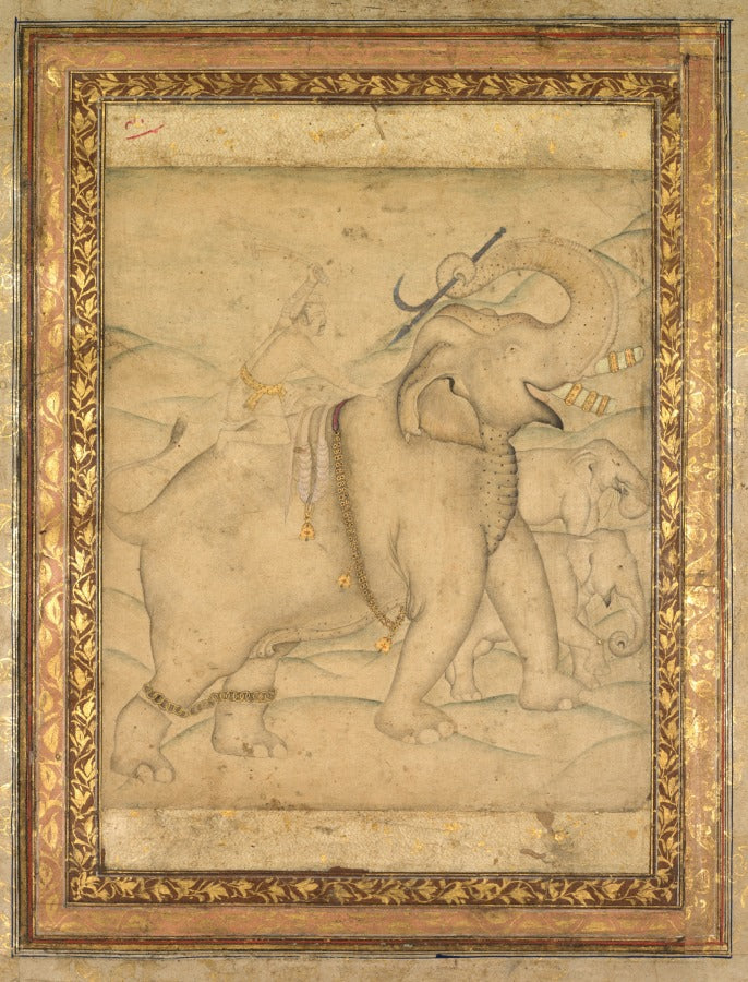 Portrait of Emperor Jahangir Riding an Elephant by  - Classic Art canvas print