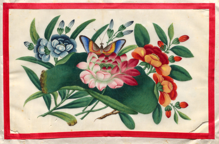 Painting Two from Illustrated Book of Flowers and Butterflies by  - Classic Art canvas print