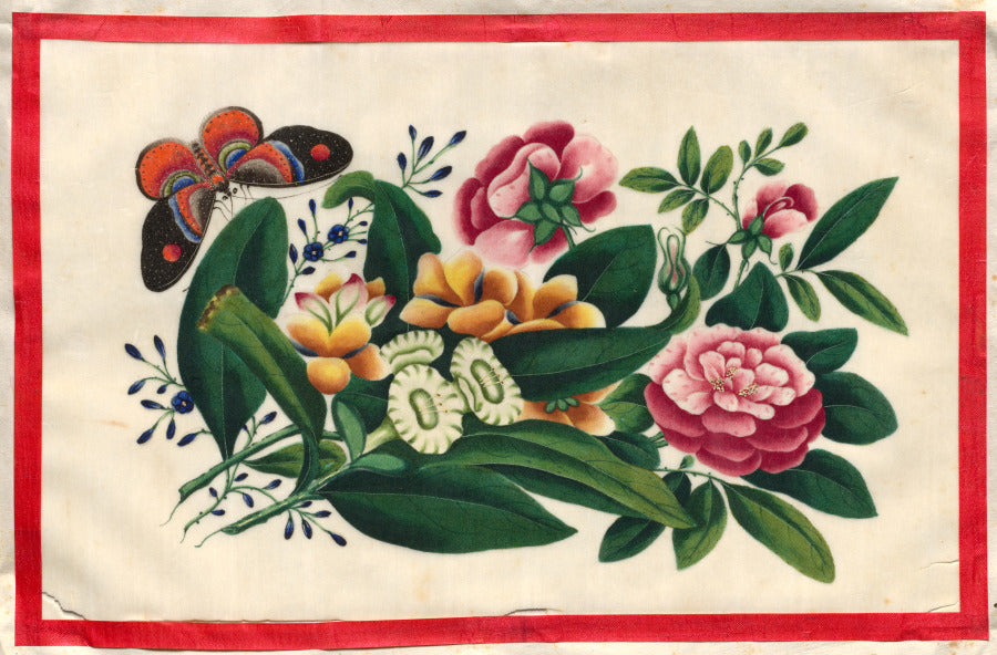 Painting Eight from Illustrated Book of Flowers and Butterflies by  - Classic Art canvas print