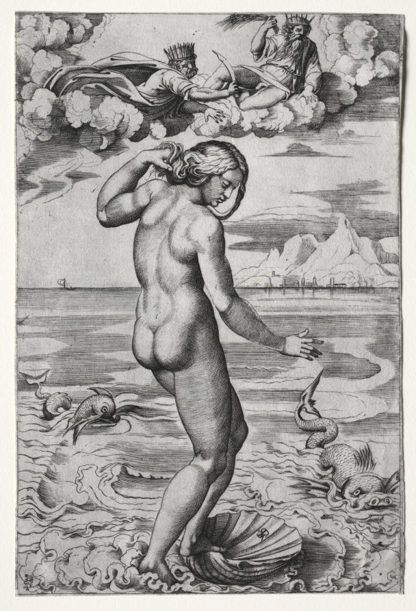 The Birth of Venus by Marco Dente (Italian, c. 1486–1527) - Classic Painting canvas print