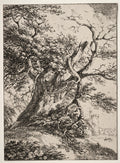 Specimens of Polyautography  Landscape with an Oak Tree by Thomas Hearne (British, 1744–1817) - Classic Painting canvas print