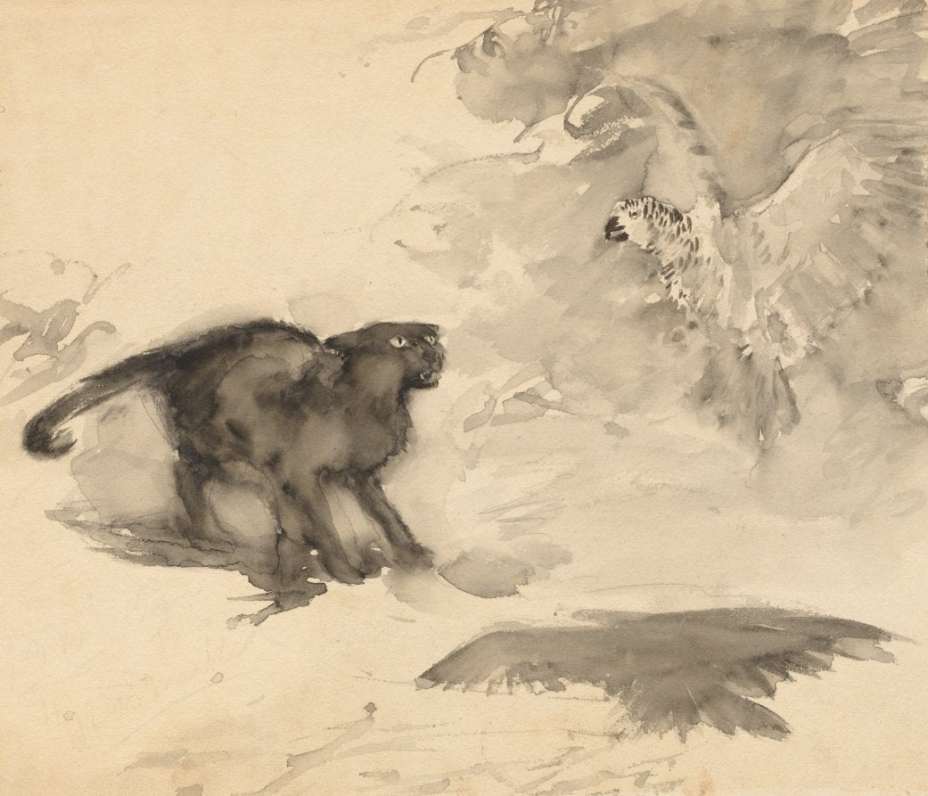 The Parrot and the Cat Sketch for Good-Night by Eleanor Gates by Arthur Rackham (British, 1867–1939) - Classic Art canvas print
