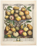 Twelve Months of Fruit  February by Henry Fletcher (British, active 1715–38) - Classic Painting canvas print