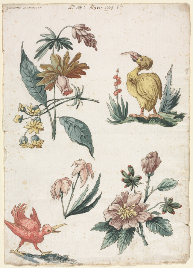 Floral Designs with Two Birds by Giacomo Cavenezia (Italian) - Classic Painting canvas print