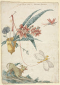Floral Design with Dog and Insects by Giacomo Cavenezia (Italian) - Classic Painting canvas print