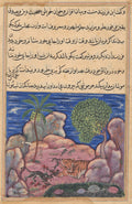 The cat attacks the mice which disturb the lion, from a Tuti-nama Tales of a Parrot Fifteenth Night by  - Classic Art canvas print