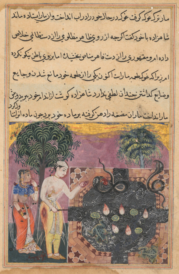 The prince, having deprived the snake of its natural food, a frog, feeds it with a piece of his own flesh, from a Tuti-nama Tales of a Parrot Eighteenth Night by  - Classic Art canvas print