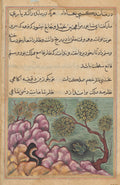 The dethroned frog Shapur seeks the help of the serpent, from a Tuti-nama Tales of a Parrot Twenth-sixth Night by  - Classic Art canvas print