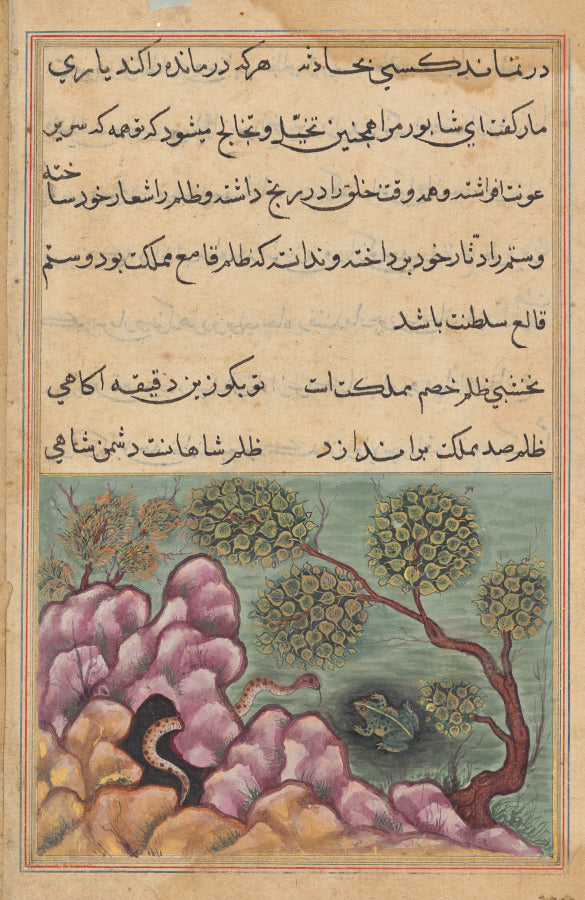 The dethroned frog Shapur seeks the help of the serpent, from a Tuti-nama Tales of a Parrot Twenth-sixth Night by  - Classic Art canvas print