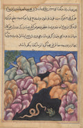 The snake enters into an argument with the frog, from a Tuti-nama Tales of a Parrot Twenty-sixth Night by  - Classic Art canvas print