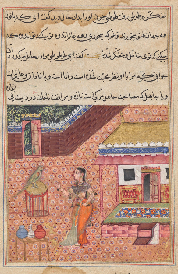 The parrot addresses Khujasta at the beginning of the thirty-fourth night, from a Tuti-nama Tales of a Parrot by  - Classic Art canvas print