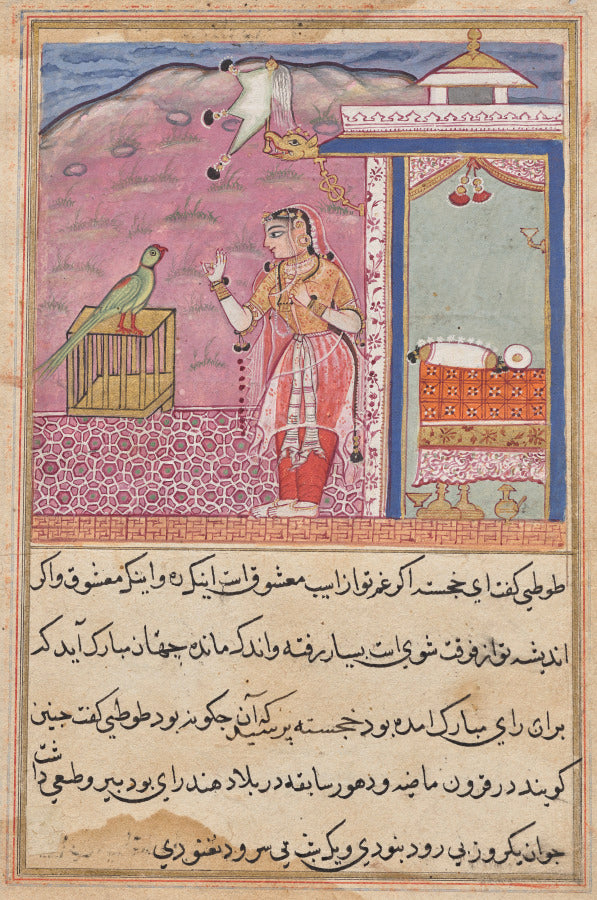 The parrot addresses Khujasta at the beginning of the forty-fourth night, from a Tuti-nama Tales of a Parrot by  - Classic Art canvas print