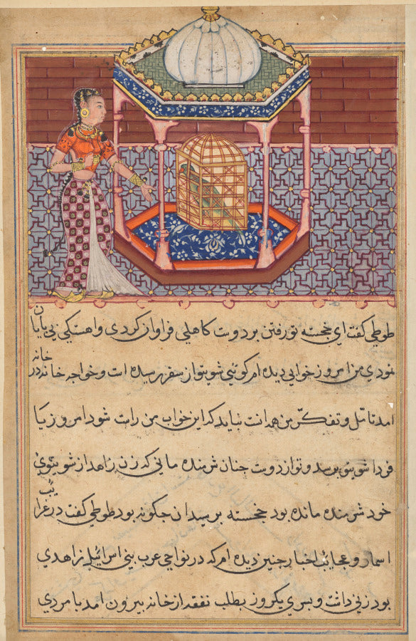 The parrot addresses Khujasta at the beginning of the fifty-second night, from a Tuti-nama Tales of a Parrot Fifty-second Night by  - Classic Art canvas print