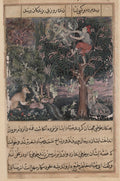 The hunter throws away the baby parrots, who pretend to be dead, and captures the mother, from a Tuti-nama Tales of a Parrot Fifth Night by Basavana (Indian, active c. 1560–1600) - Classic Art canvas print