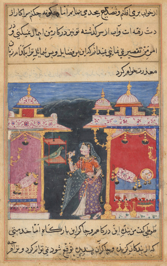 The Parrot Addresses Khujasta at the Beginning of the Seventh Night, from a Tuti-nama Tales of a Parrot by  - Classic Art canvas print