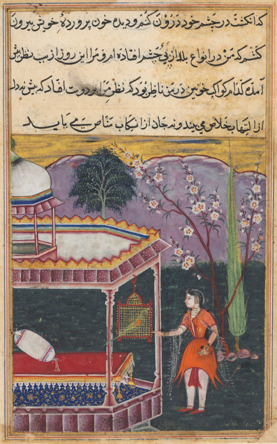 The Parrot Addresses Khujasta at the Beginning of the Eighth Night, from a Tuti-nama Tales of a Parrot by  - Classic Art canvas print