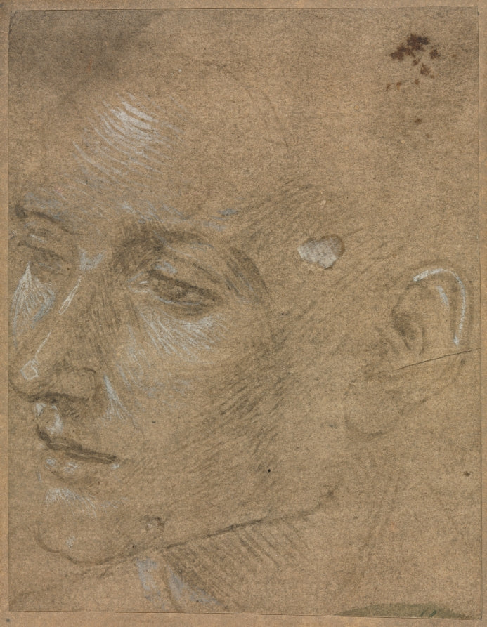 Head of a Young Man by Filippino Lippi (Italian, c. 1457–1504) - Classic Painting canvas print