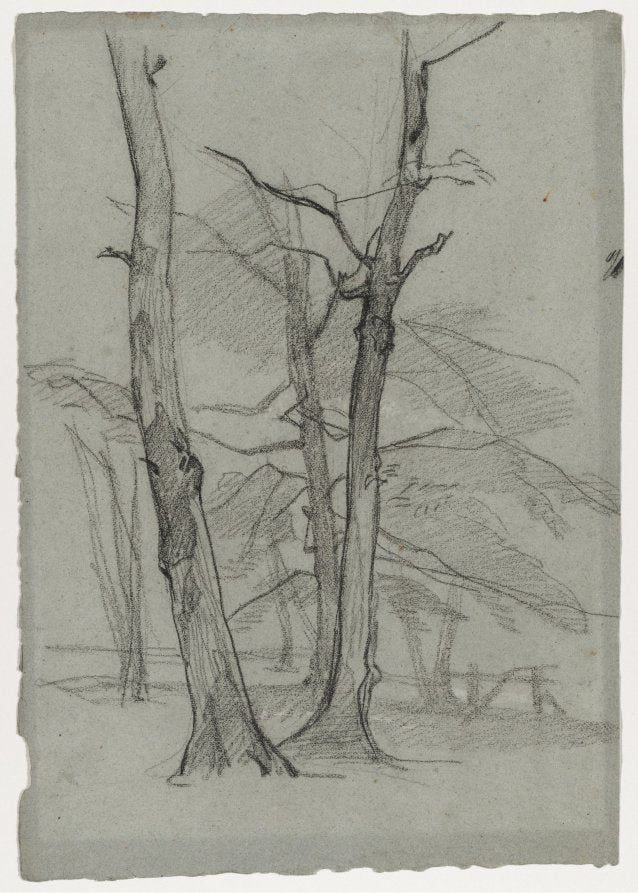 Landscape Study with Trees by Thomas Couture (French, 1815–1879) - Classic Painting canvas print