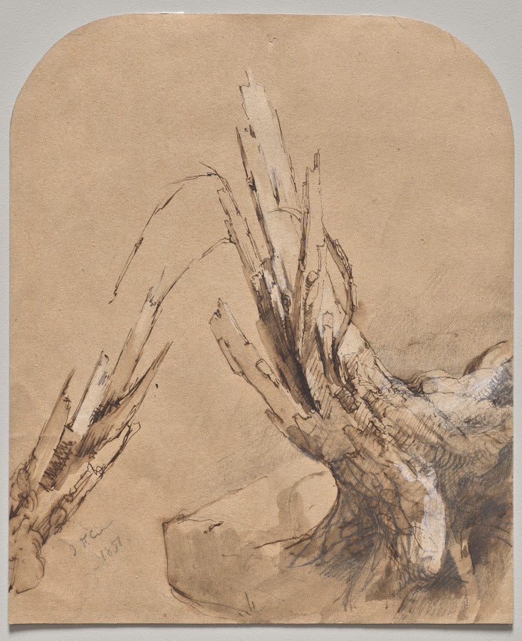 A Blasted Tree recto by Jasper F. Cropsey (American, 1823–1900) - Classic Painting canvas print