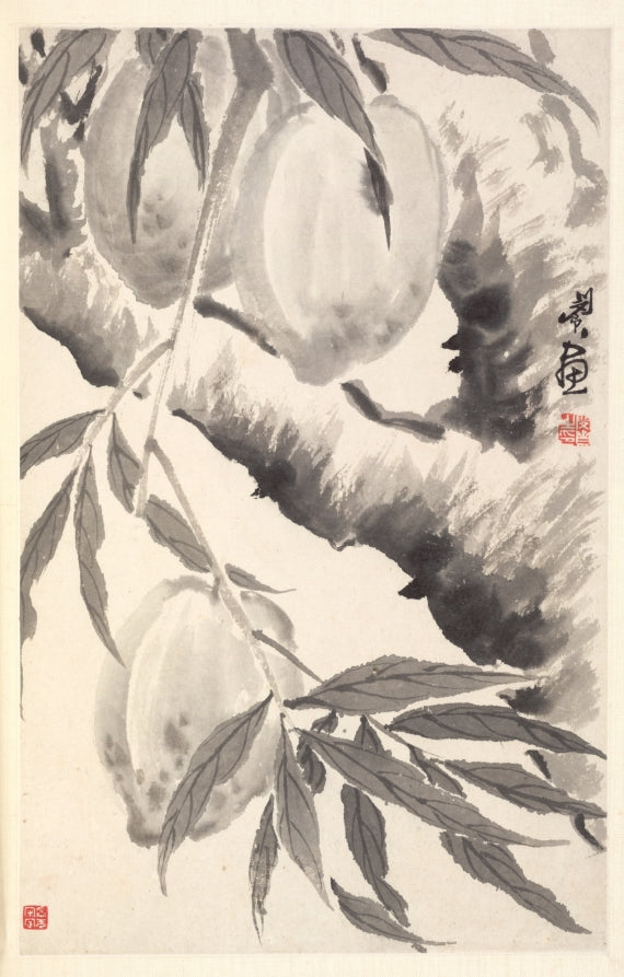 Peaches by Min Zhen (Chinese, 1730–after 1788) - Classic Art canvas print