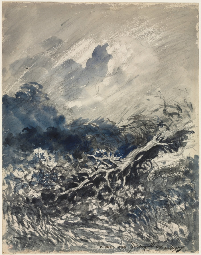 The Oak Tree and the Reed by Charles François Daubigny (French, 1817–1878) - Classic Painting canvas print