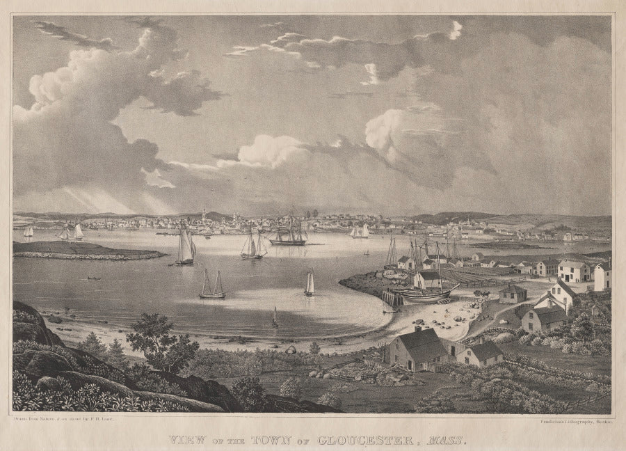 View of the Town of Gloucester, Mass. by Fitz Henry Lane (American, 1804–1865) - Classic Painting canvas print