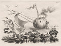 A Pumpkin Used as a Fishing Boat by Filippo Morghen (Italian, 1730–after 1807) - Classic Painting canvas print
