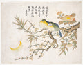 Sleeping Birds by  - Classic Painting canvas print