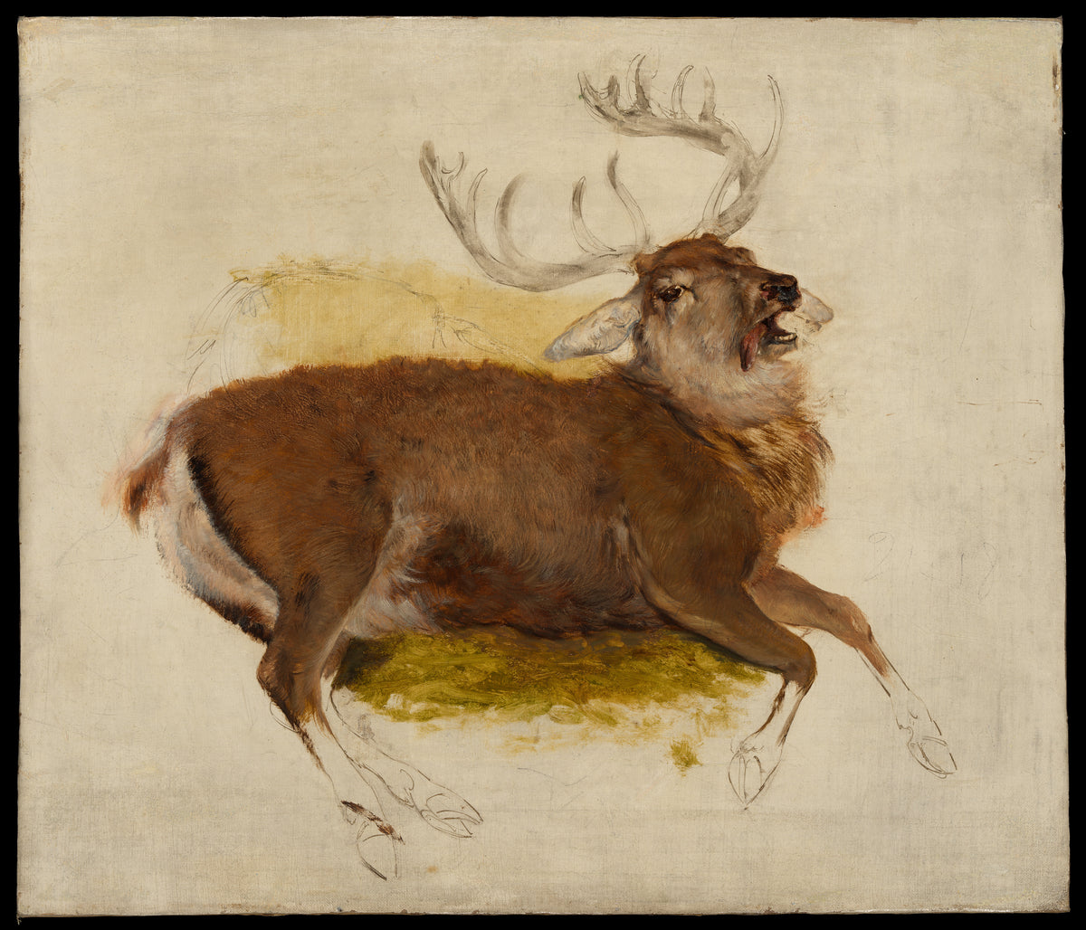 Dying Stag by Sir Edwin Henry Landseer - Oil Painting canvas print