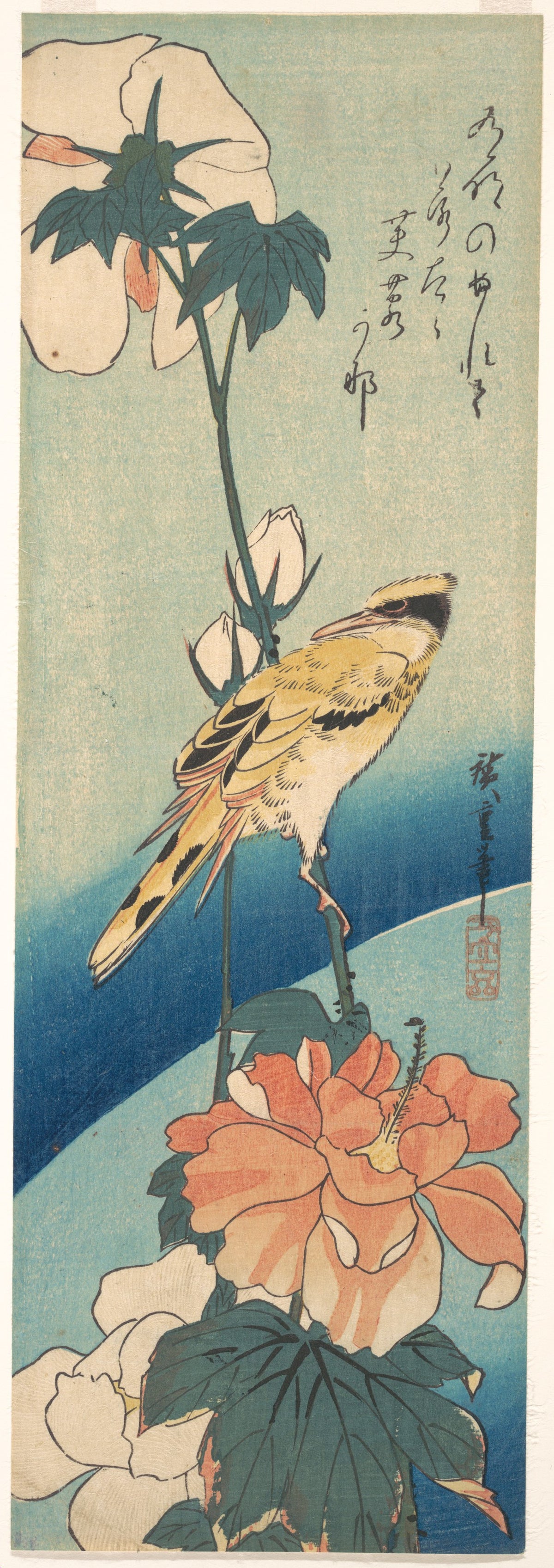 A Black-Naped Oriole on a Stem of Rose Mallow by Utagawa Hiroshige - Ukiyo-e canvas print