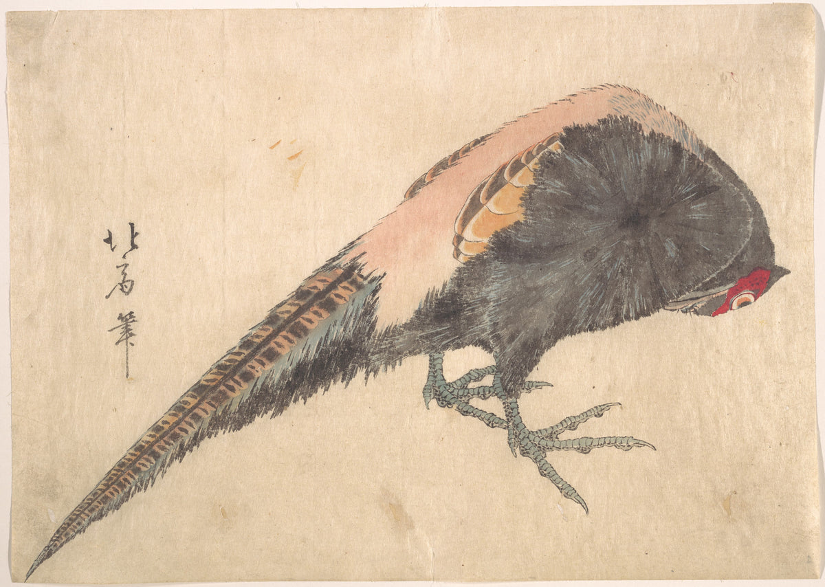 Bird by Hakusanjin Hokui - Ukiyo-e canvas print