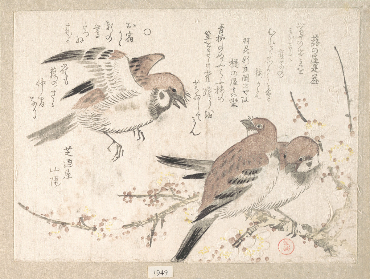 Sparrows and Plum Blossoms by Kubo Shunman - Ukiyo-e canvas print