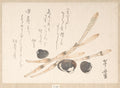 Tsukushi Plant and Shijimi Shells by Uematsu Tōshū - Ukiyo-e canvas print