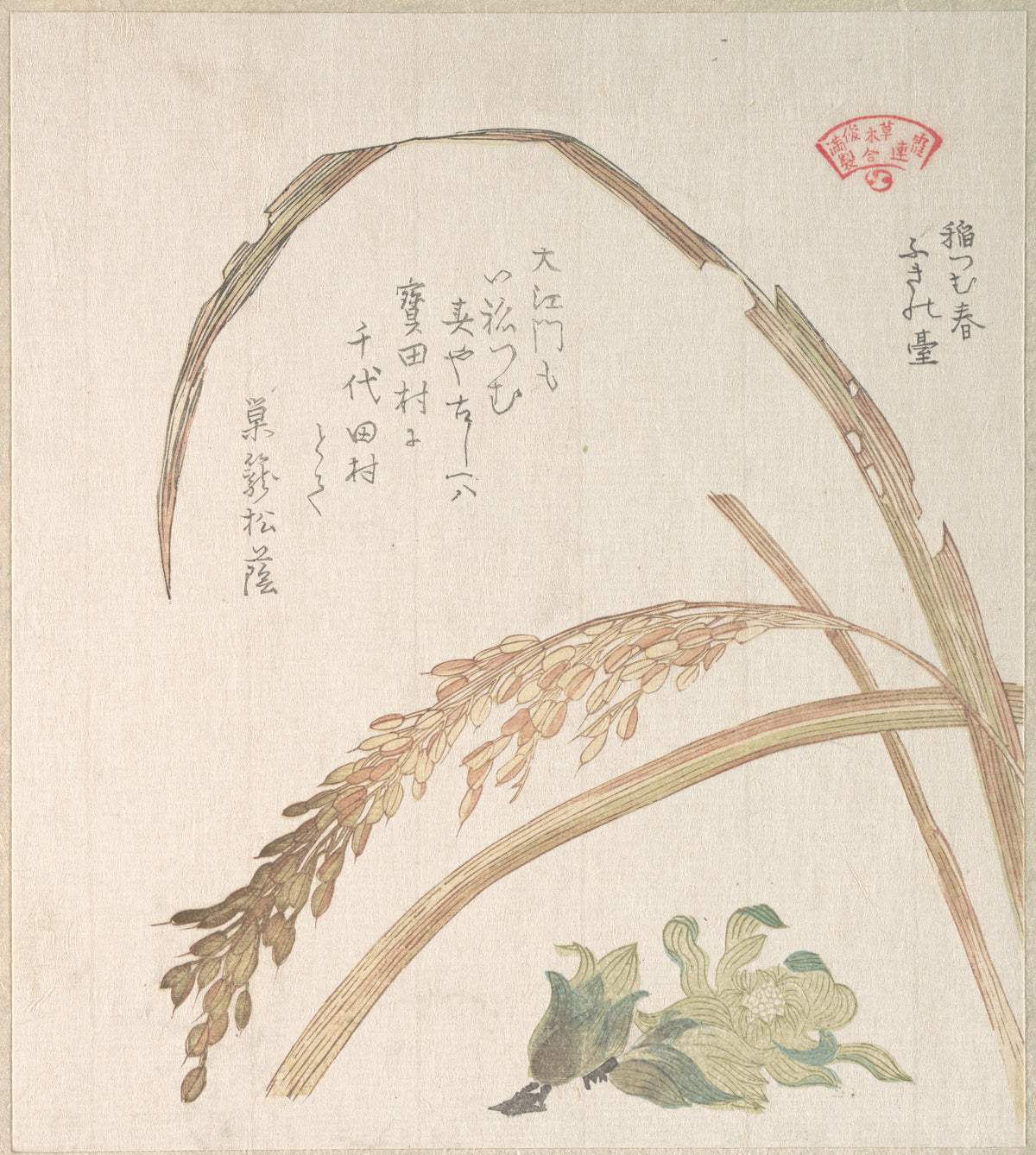 Rice Plant and Butter-Burs by Kubo Shunman - Ukiyo-e canvas print