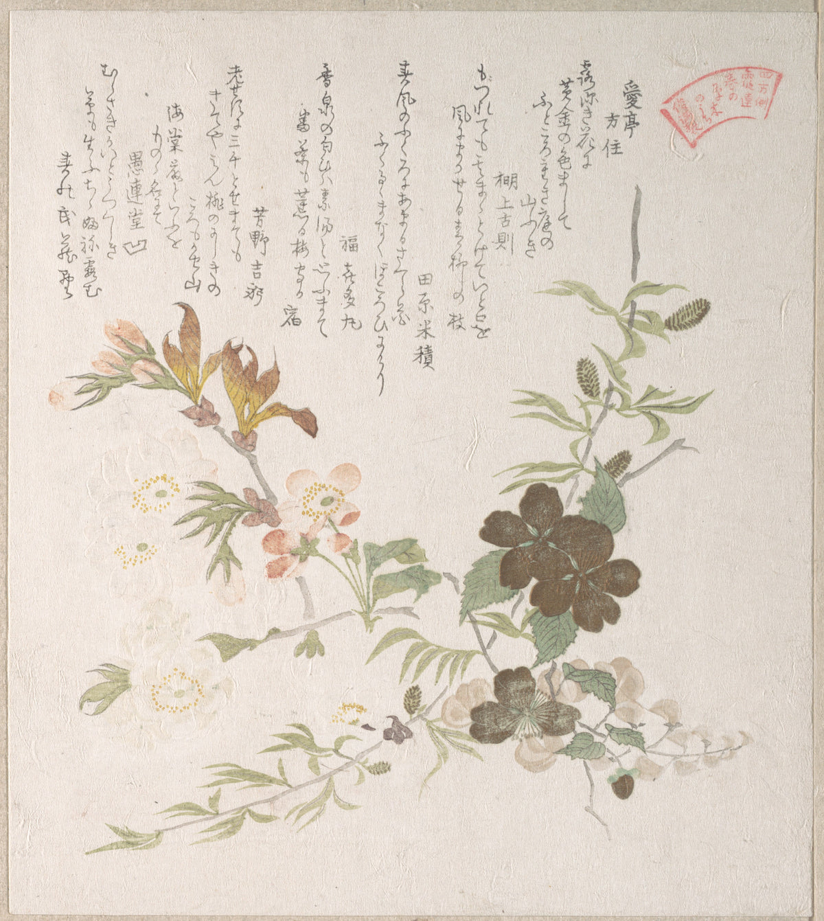 Cherry Blossoms and Yamabuki Flowers by Kubo Shunman - Ukiyo-e canvas print