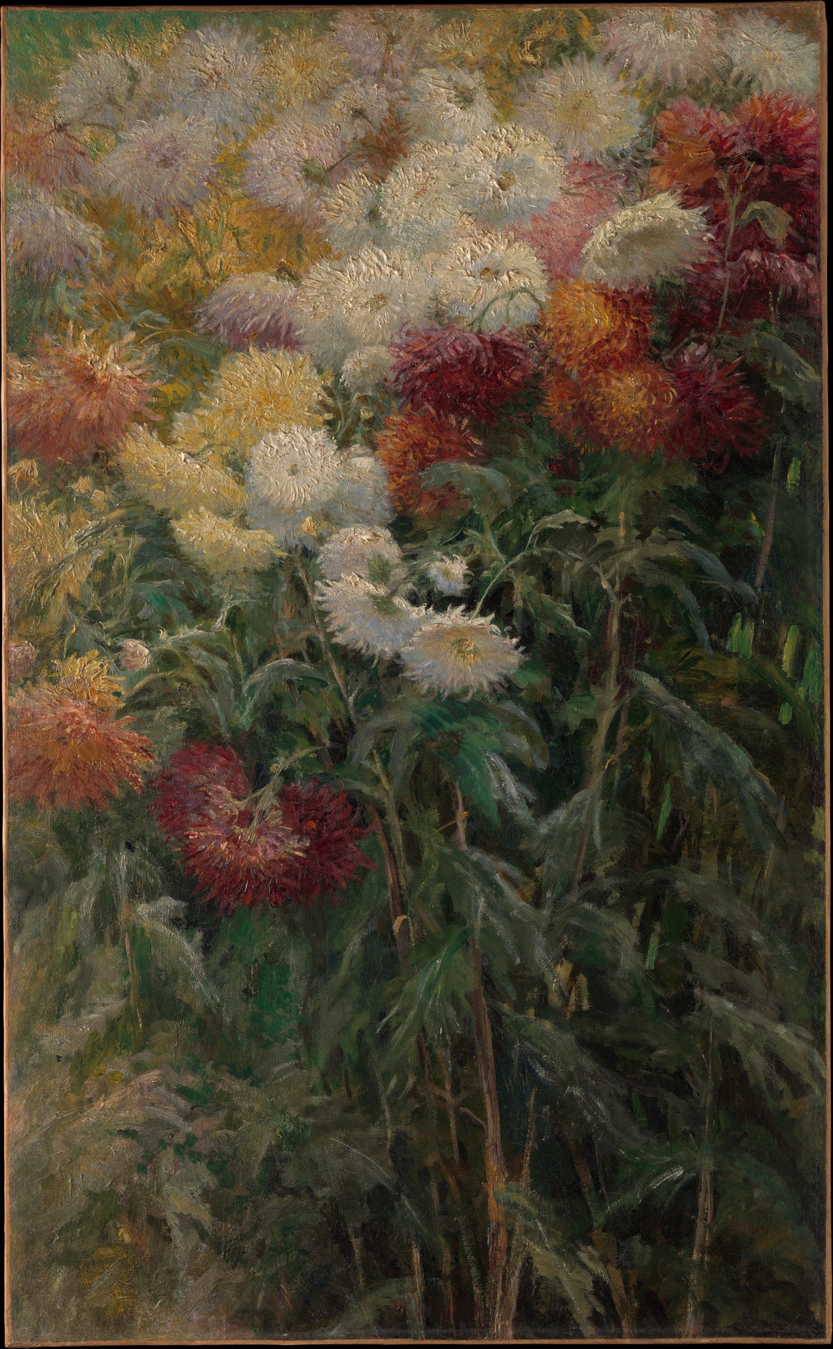 Chrysanthemums in the Garden at Petit-Gennevilliers by Gustave Caillebotte - Impressionist canvas print