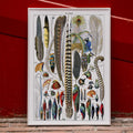 Plumes Poster by Moryarty - Oil Painting canvas print