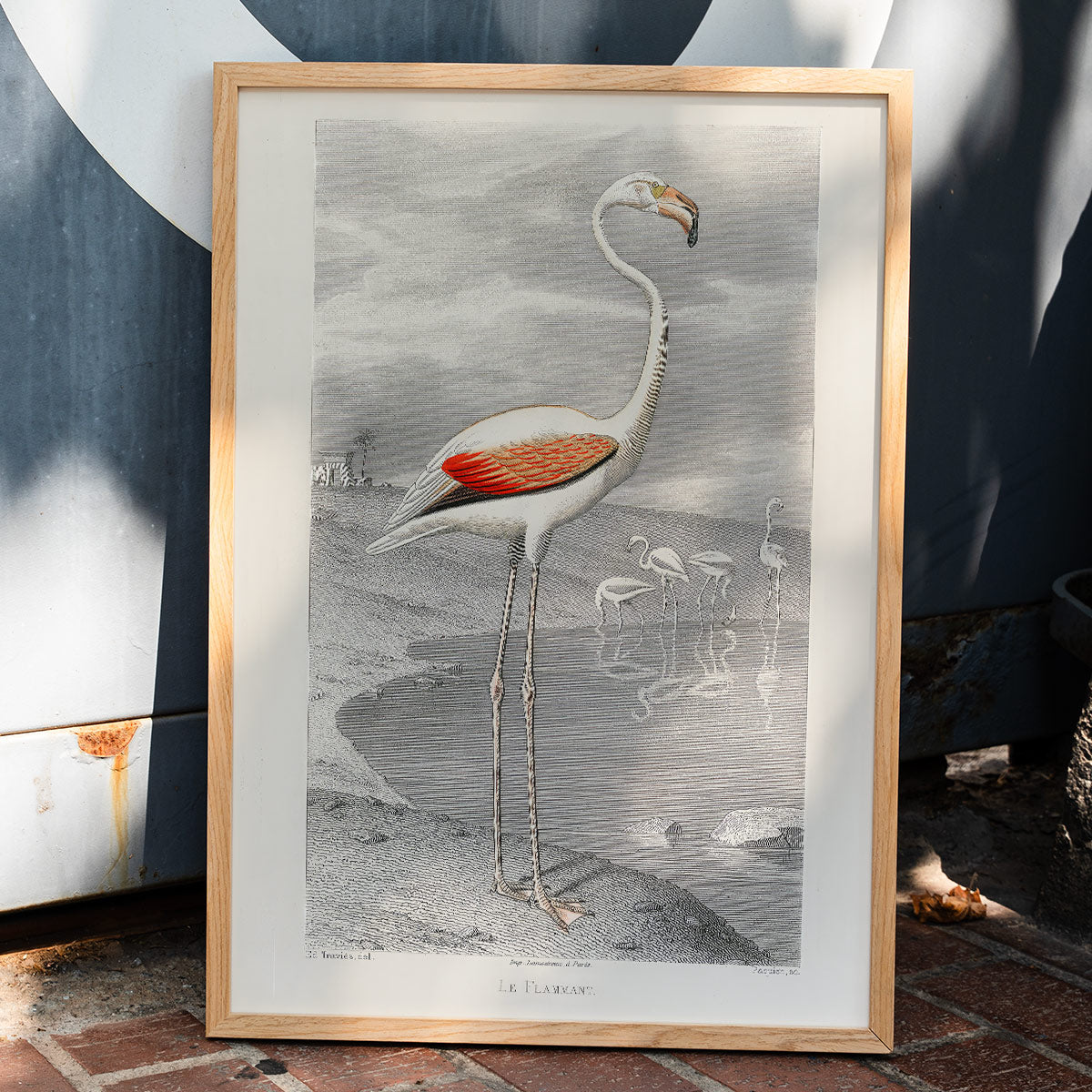 Le Flamant Poster by Moryarty - Oil Painting canvas print