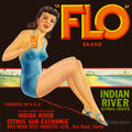 FLO Brand Citrus by PrintCollection - Oil Painting canvas print