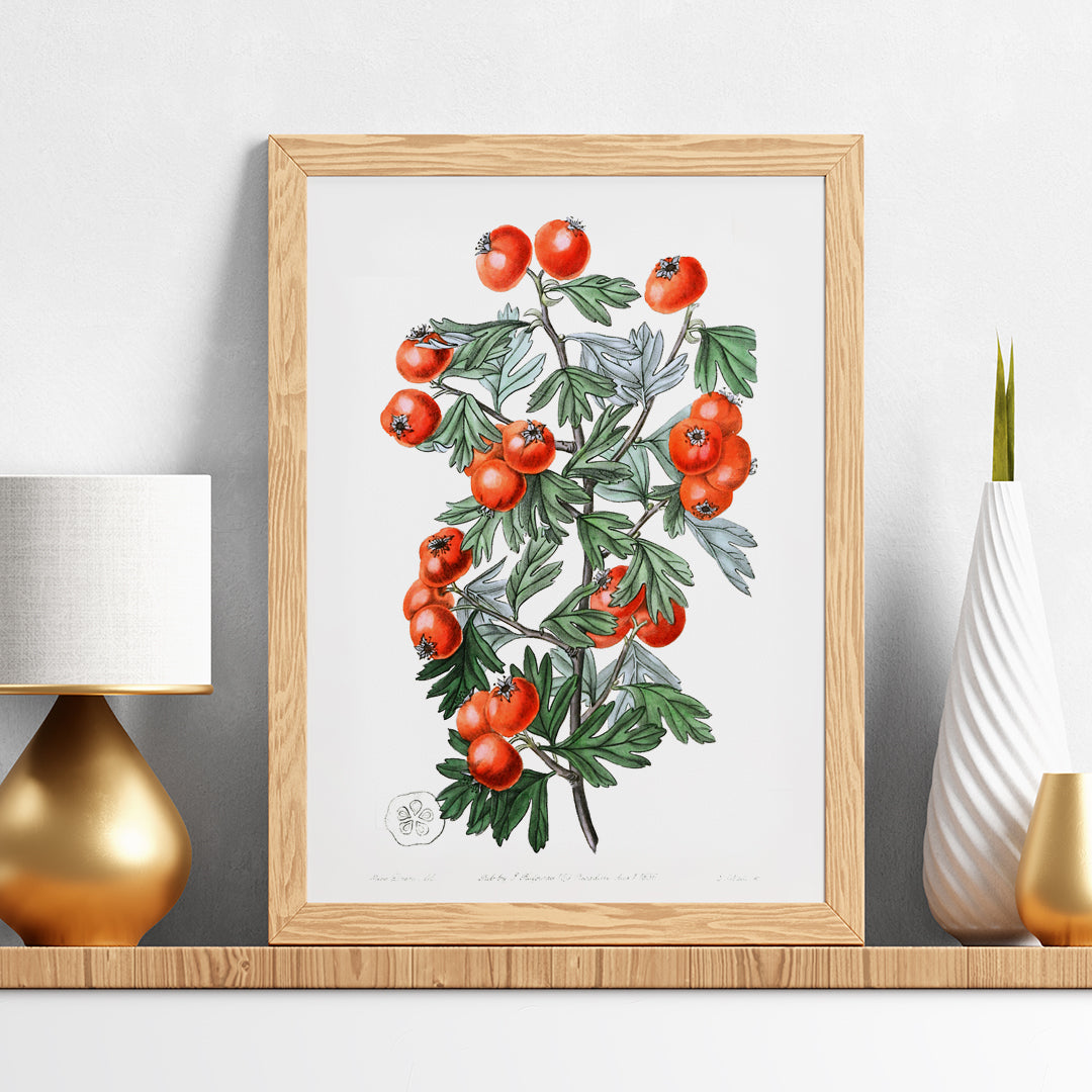 Aubpine trs parfume Poster by Moryarty - Oil Painting canvas print