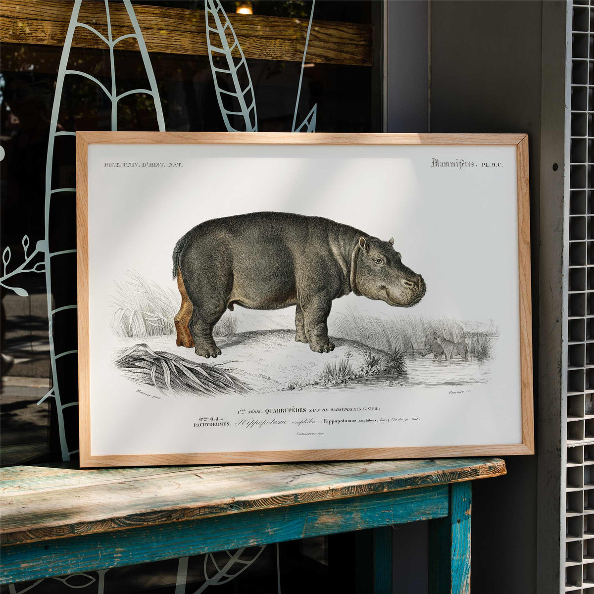Hippopotame amphibie Poster by Moryarty - Oil Painting canvas print