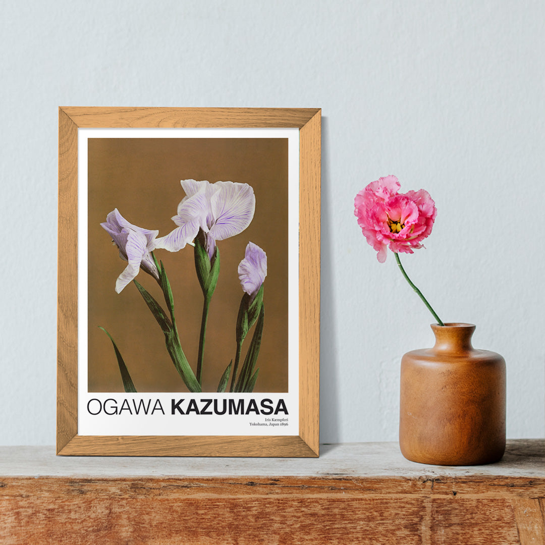 Iris Kmpferi Poster by Moryarty - Oil Painting canvas print