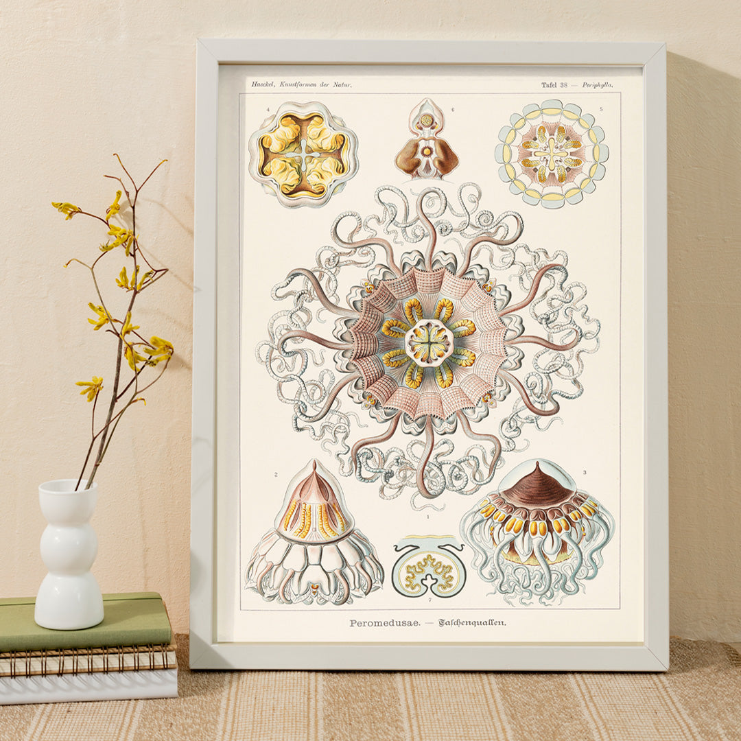 Peromedusae Poster by Moryarty - Oil Painting canvas print