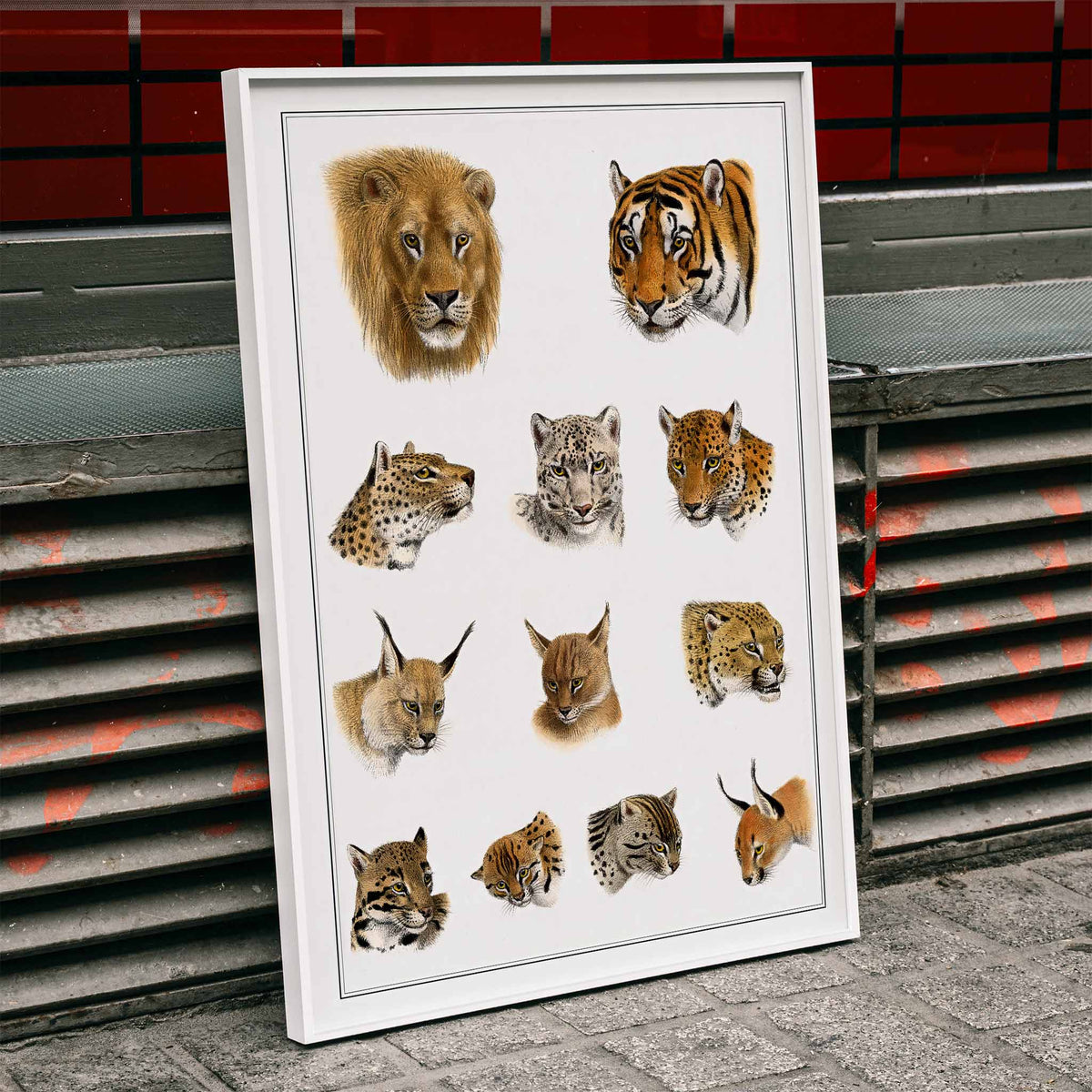 Animaux sauvages Poster by Moryarty - Oil Painting canvas print