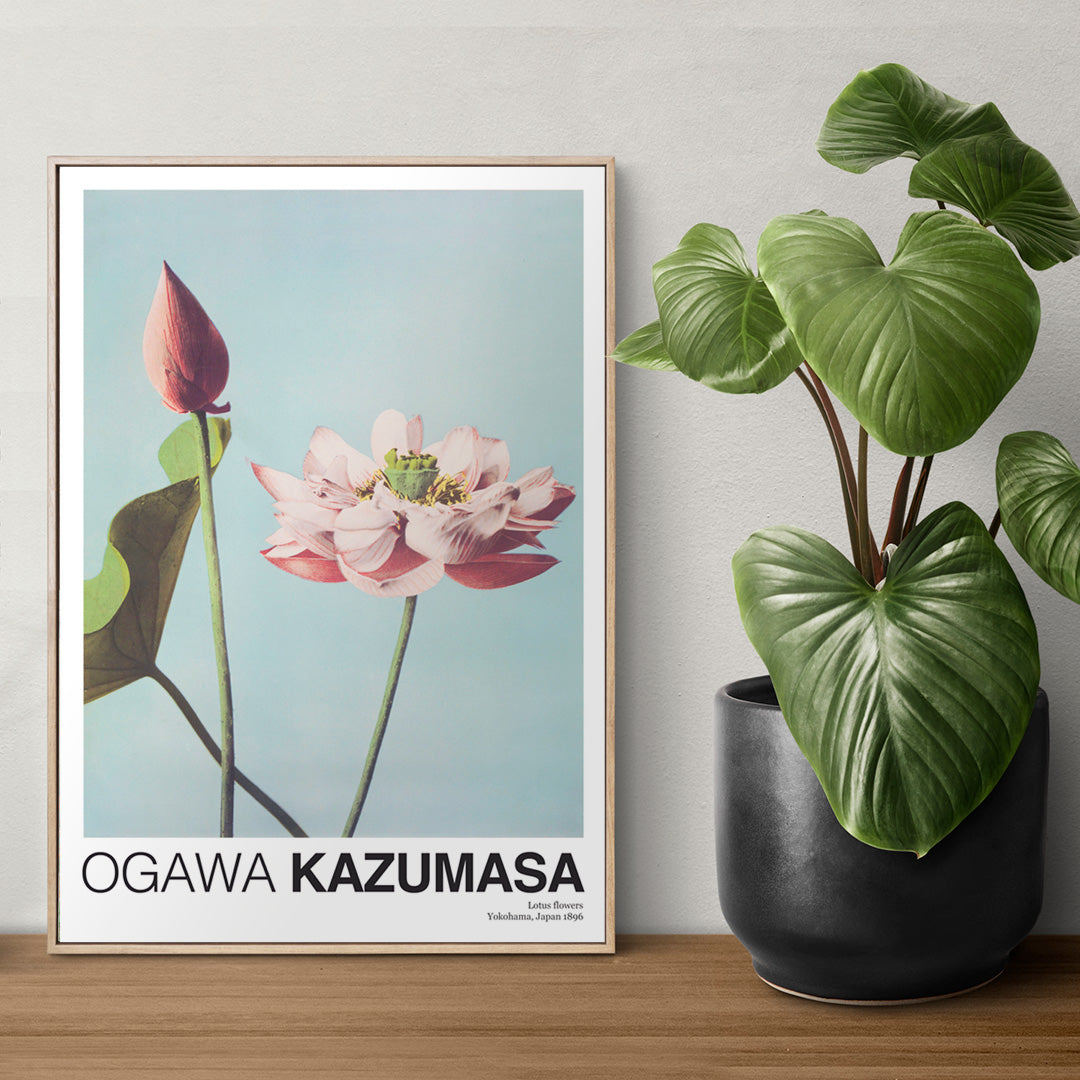 Fleurs de lotus Poster by Moryarty - Oil Painting canvas print