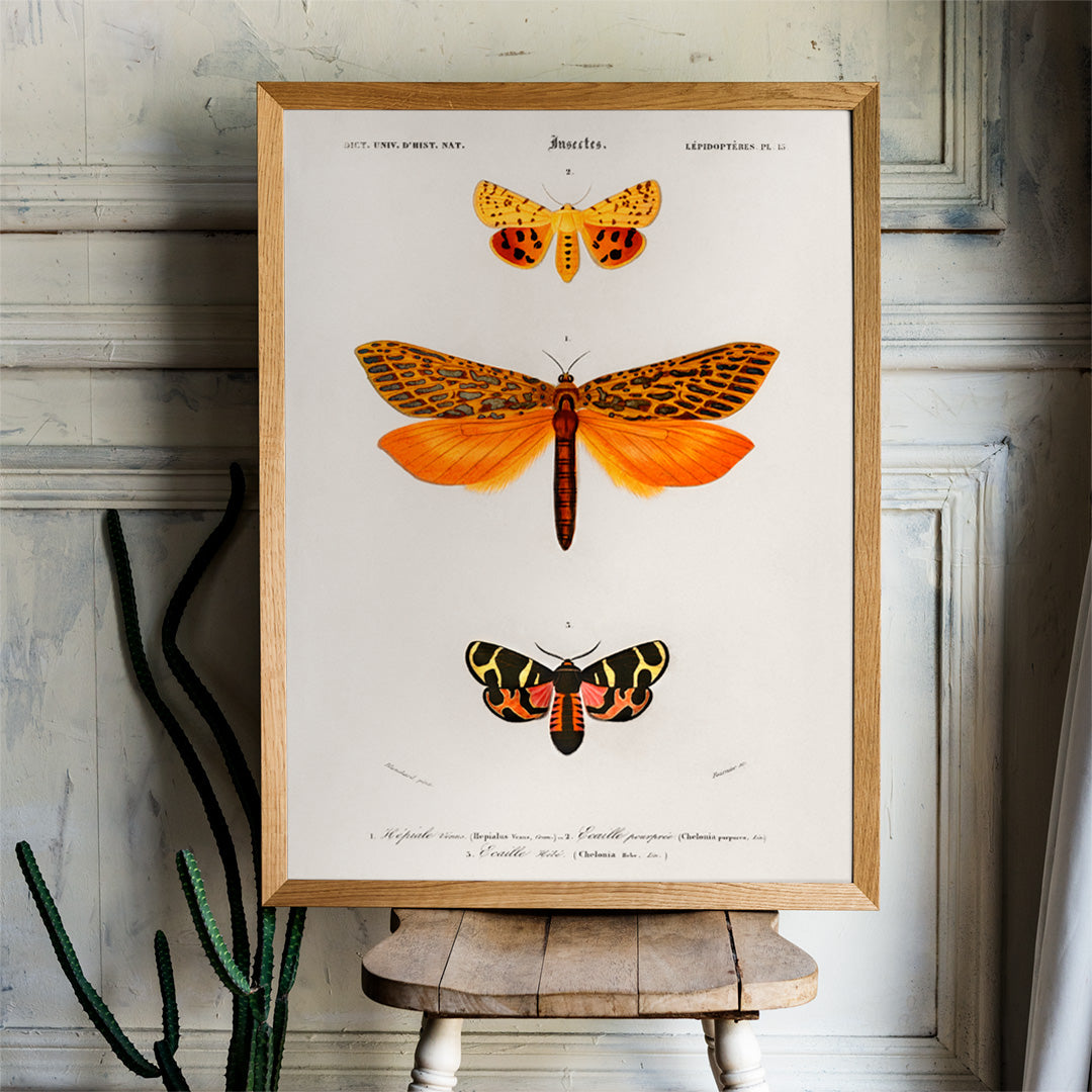 Papillons de nuit orange Poster by Moryarty - Oil Painting canvas print