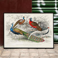 Paon et faisans Poster by Moryarty - Oil Painting canvas print