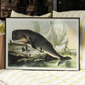 Cachalot Poster by Moryarty - Oil Painting canvas print
