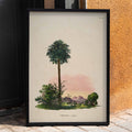 Corypha cerifera Arruda Poster by Moryarty - Oil Painting canvas print